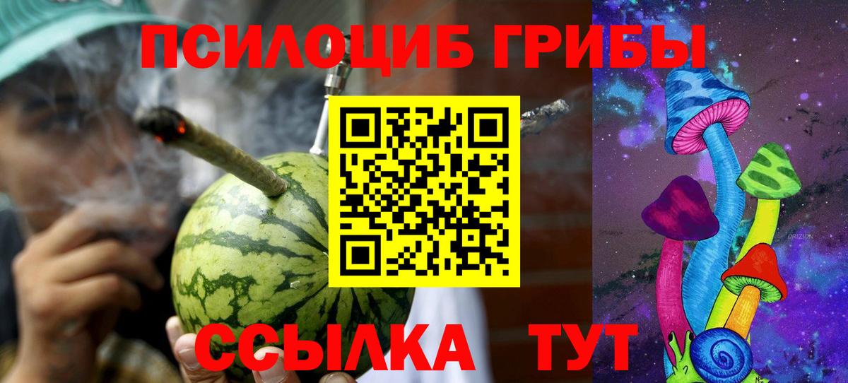 Нижний Тагил  Галлюциногенные грибы прущие грибы  Вход с VPN  Галлюциногенные грибы мицелий 